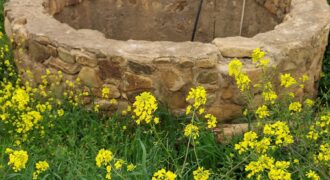 Un magnifique jardin avec un puits à vendre