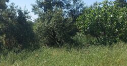 Un terrain rural constructible