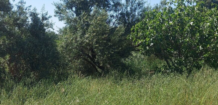 Un terrain rural constructible