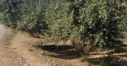 Un terrain au bord de la route, propice à une activité industrielle ou commercial