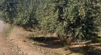 Un terrain au bord de la route, propice à une activité industrielle ou commercial