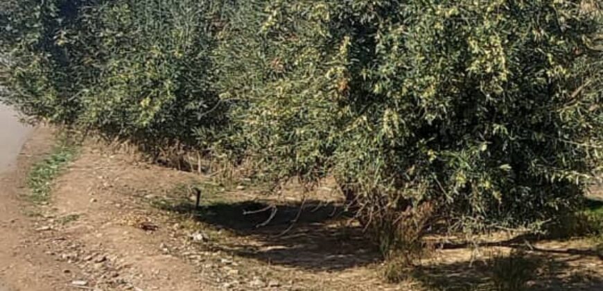 Un terrain au bord de la route, propice à une activité industrielle ou commercial
