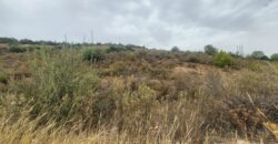 Un terrain rural idéal pour l&rsquo;élevage toute catégorie