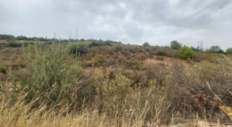 Un terrain rural idéal pour l&rsquo;élevage toute catégorie